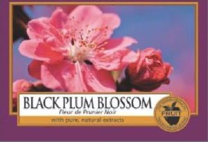 YankeeCandle587 - Kopie (20)