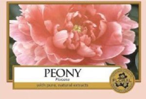 YankeeCandle587 - Kopie (26)