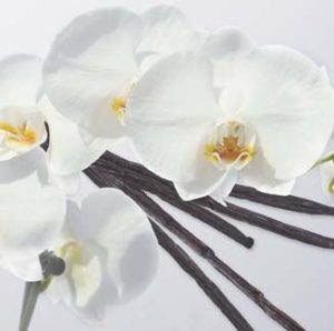 Yankee Candle Vanilla