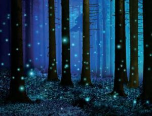 Yankee Candle Dreamy Summer Nights