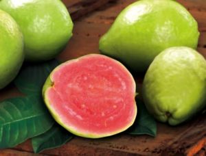 Yankee Candle Delicious Guava