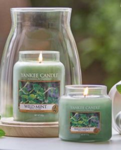 Yankee Candle Wild Mint