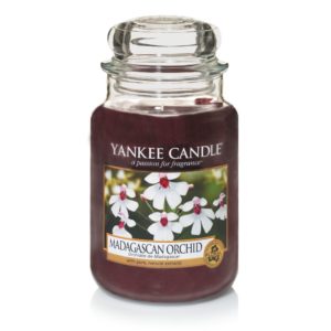 Yankee Candle Madagascan Orchid