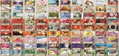 Duftsortiment Frühling und Sommer 2016
