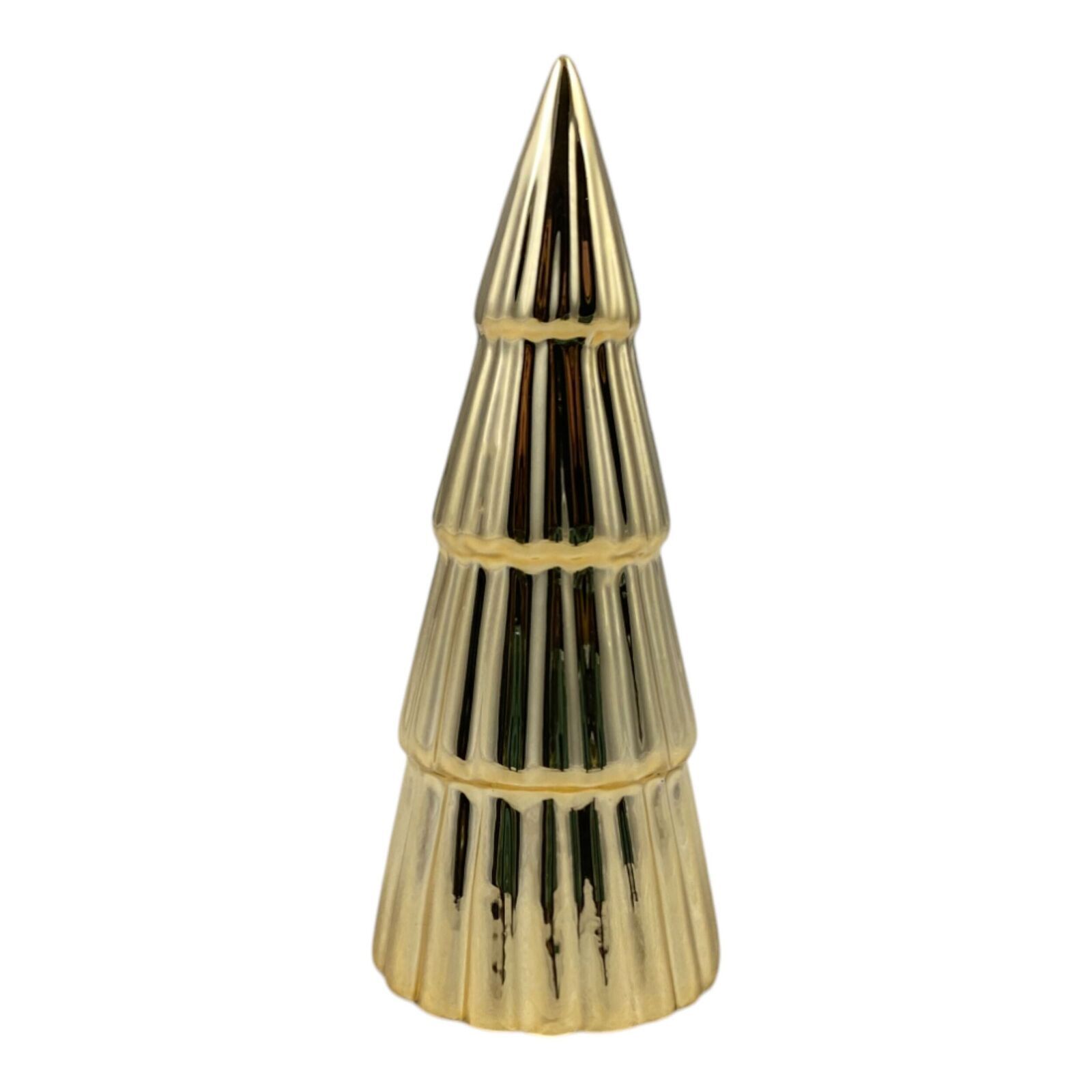 Tannenbaum Saya S Kegel