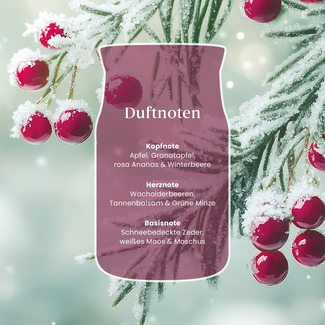Sparkling Winterberry 110g Sparkling Winterberry 110g