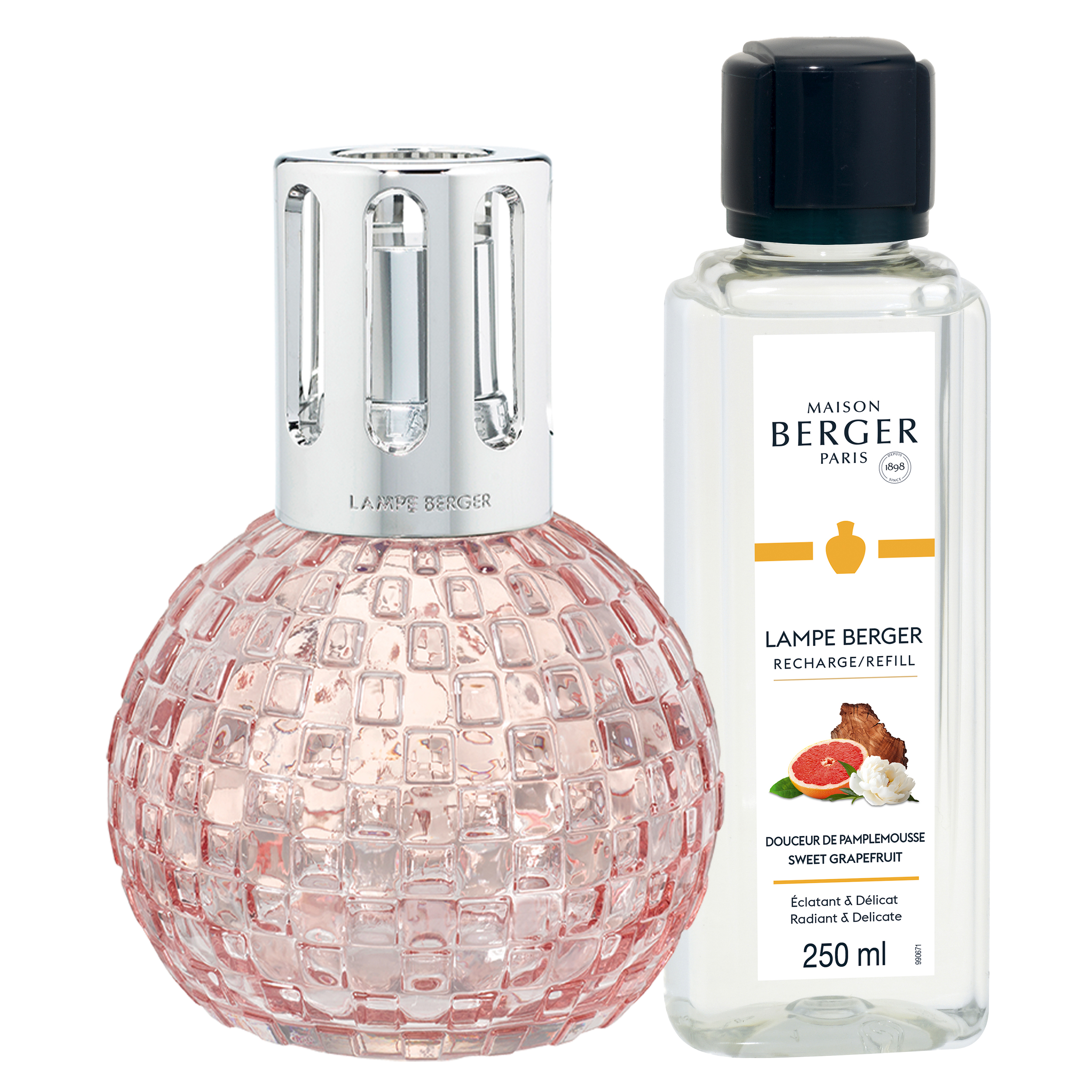 Disco Rose - Sweet Grapefruit Disco Rose - Sweet Grapefruit