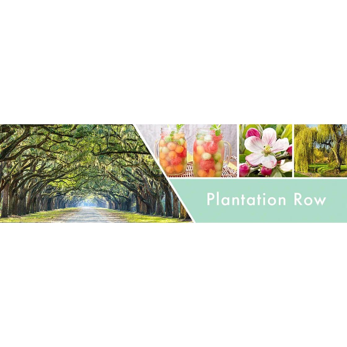 Plantation Row 680g