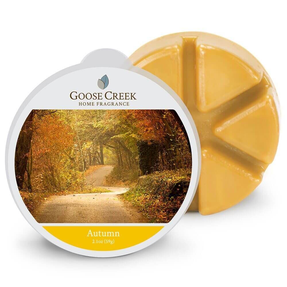 EW84 Autumn 59g von Goose Creek Candle