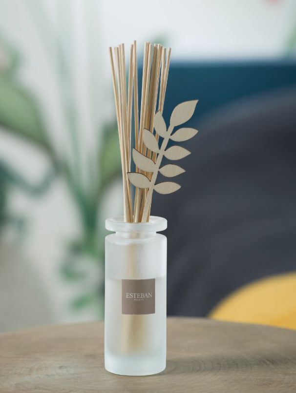 Reed Diffuser kaufen
