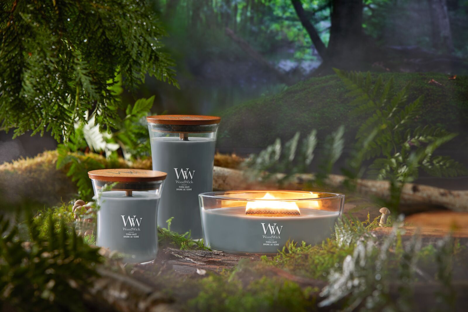 Terra Haze 610g Kochgeschirr, Topf, Pflanze, Bewuchs