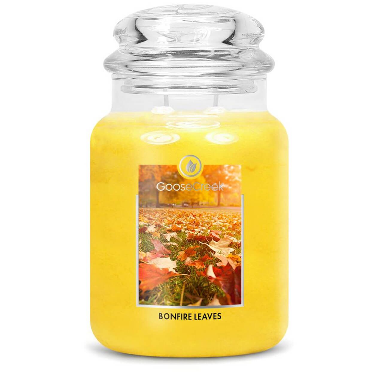 bonfire-leaves-680 Bonfire Leaves 680g