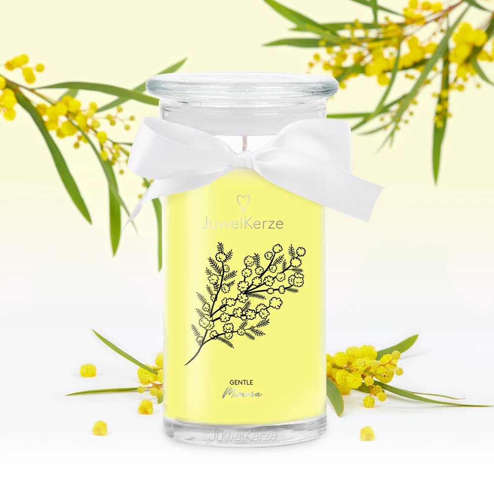 Gentile Mimosa (Armband) 400g