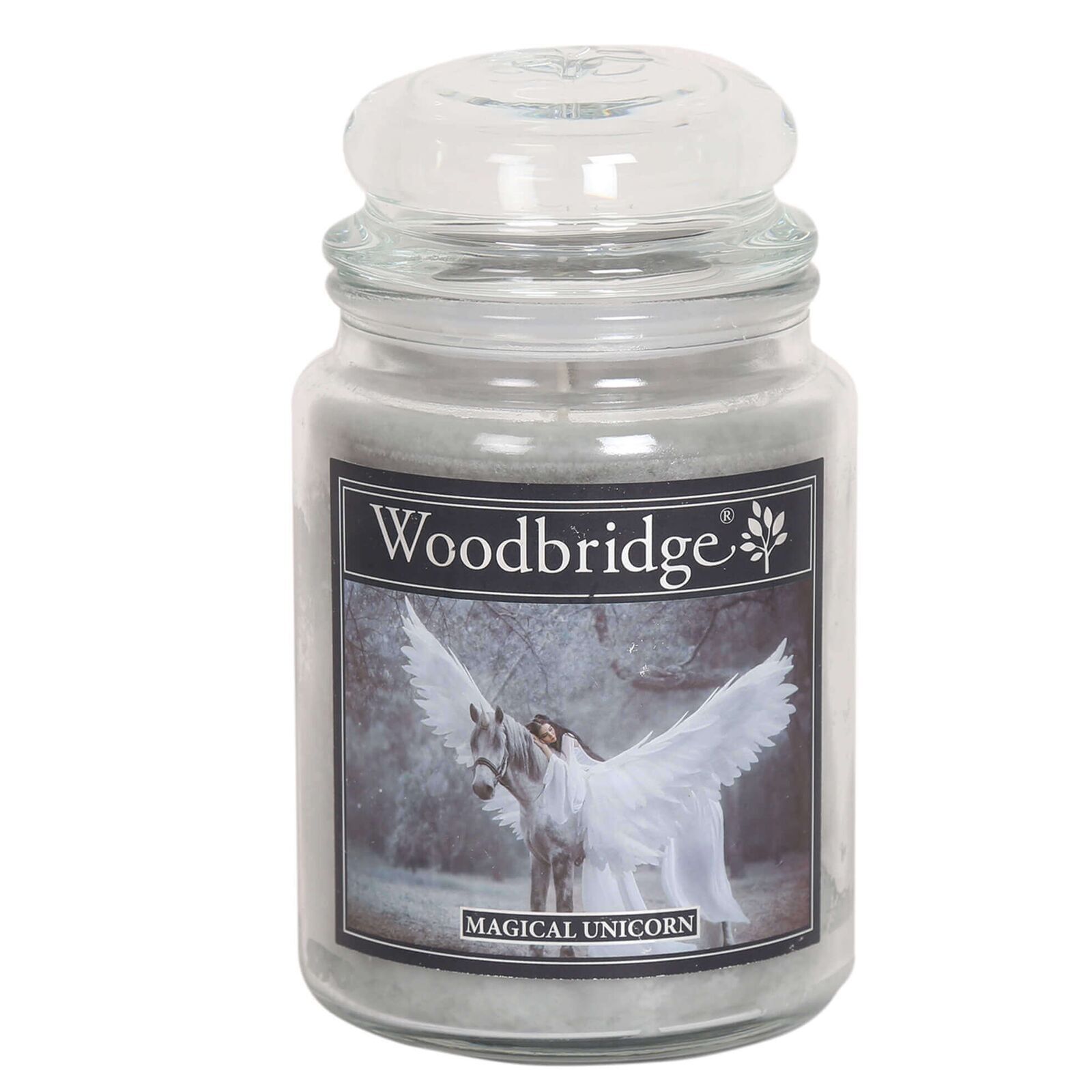 WLJ027 Magical Unicorn 565g