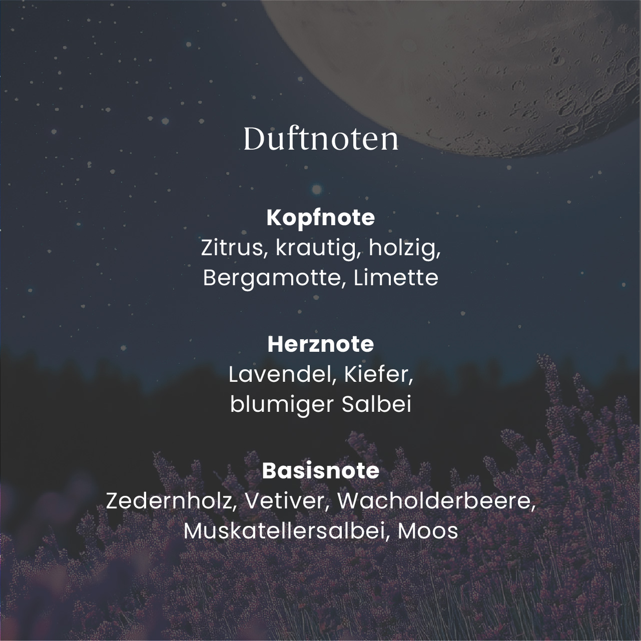 Midsummers Night Nachfüller Reed Diffuser 250ml Duftnoten, Kopfnote, Herznote, Basisnote, Lavendel