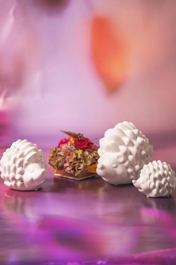 max-igel-weiss-creme-varianten Igel Max 18,5cm cremeweiß