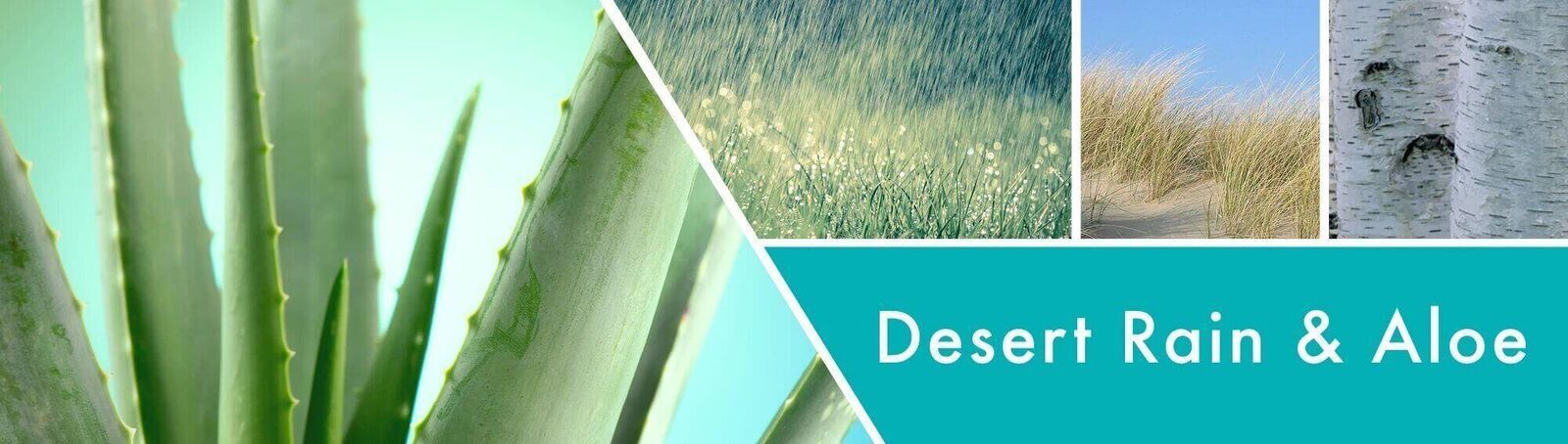 Desert-Rain-_-Aloe-Candle-FragranceXK0SClHqn9PEL Desert Rain & Aloe 198g (1-Docht)