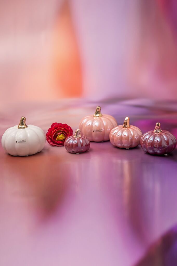 Minikürbis Boglia 11cm cremeweiß