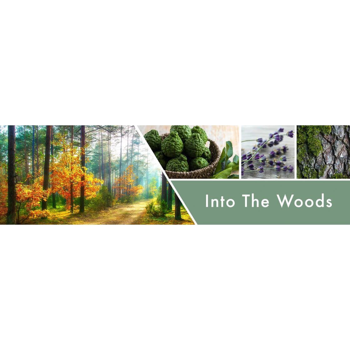 into-the-woods-3-docht-kerze-411g-2 Into the Woods 411g (3-Docht)
