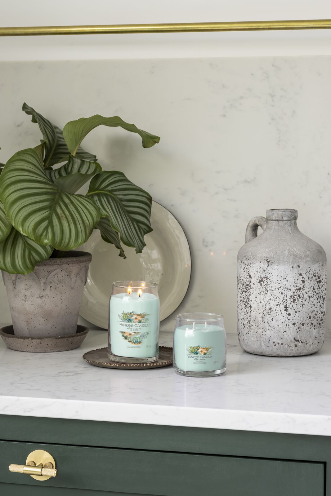 Aloe & Agave Signature Large Jar 567g 2-Docht