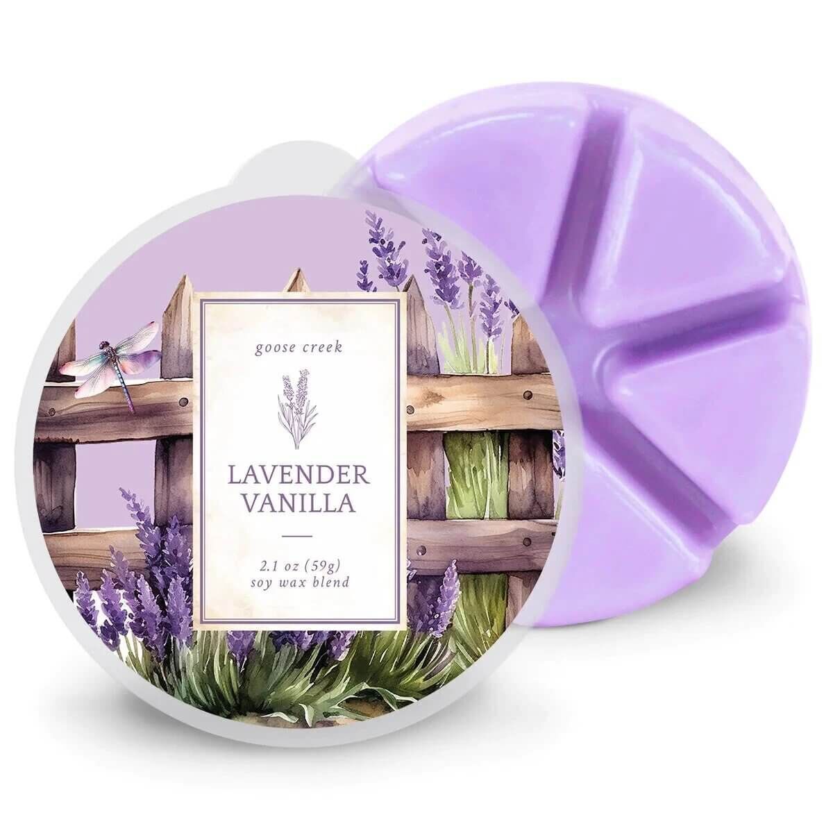 Lavender Vanilla 59g Purpur, Kräuterig, Blume, Lavendel, Topfpflanze