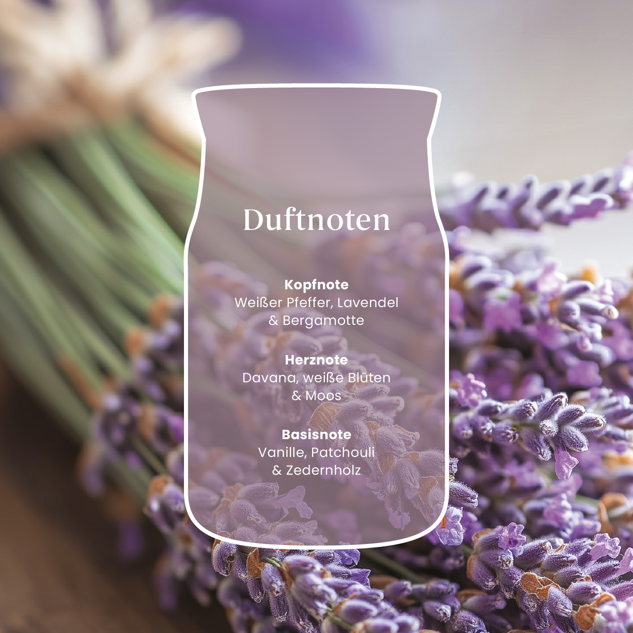 Dried Lavender & Oak 110g