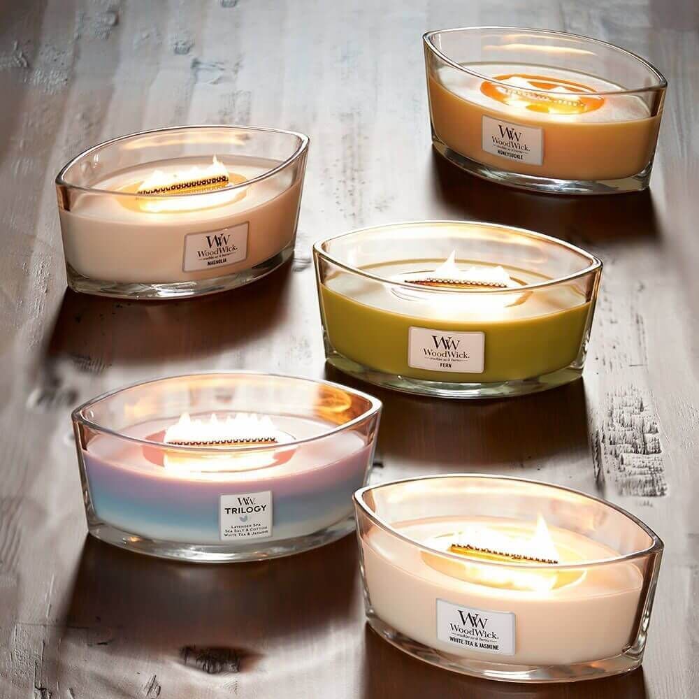 Ellipse-Assortment-Fern-Honeysuckle-Magnolia-White-Tea-Jasmine-Calming-Retreat-1 Honeysuckle 454g