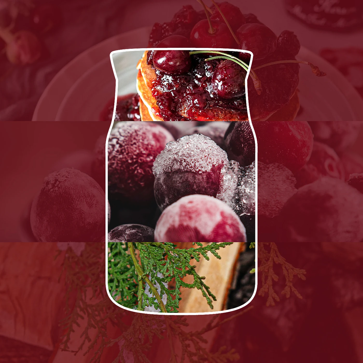 Teller, Beeren, Kuchenbelag, Erdbeeren, Grünzweig