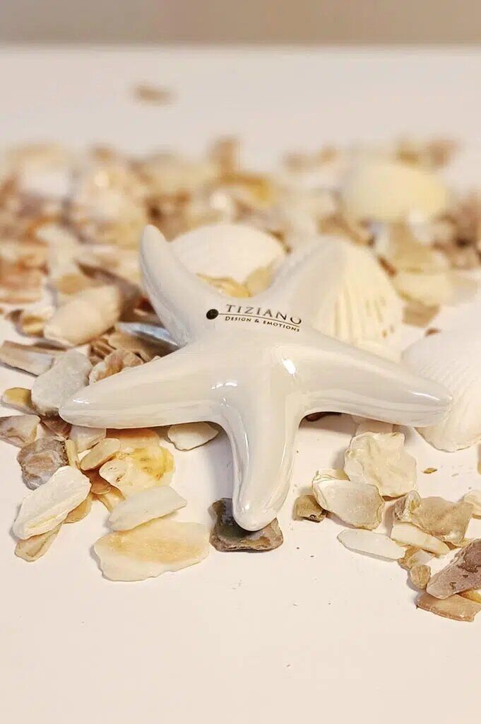 seestern-mirana-glatt-weiss-mittel Seestern Mirana 11cm cremeweiß