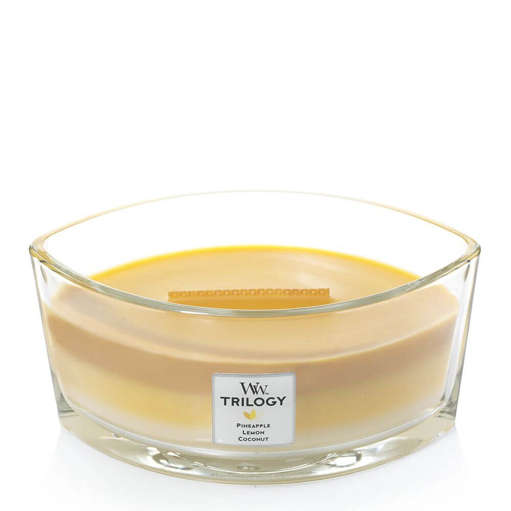 Fruits of Summer 454g