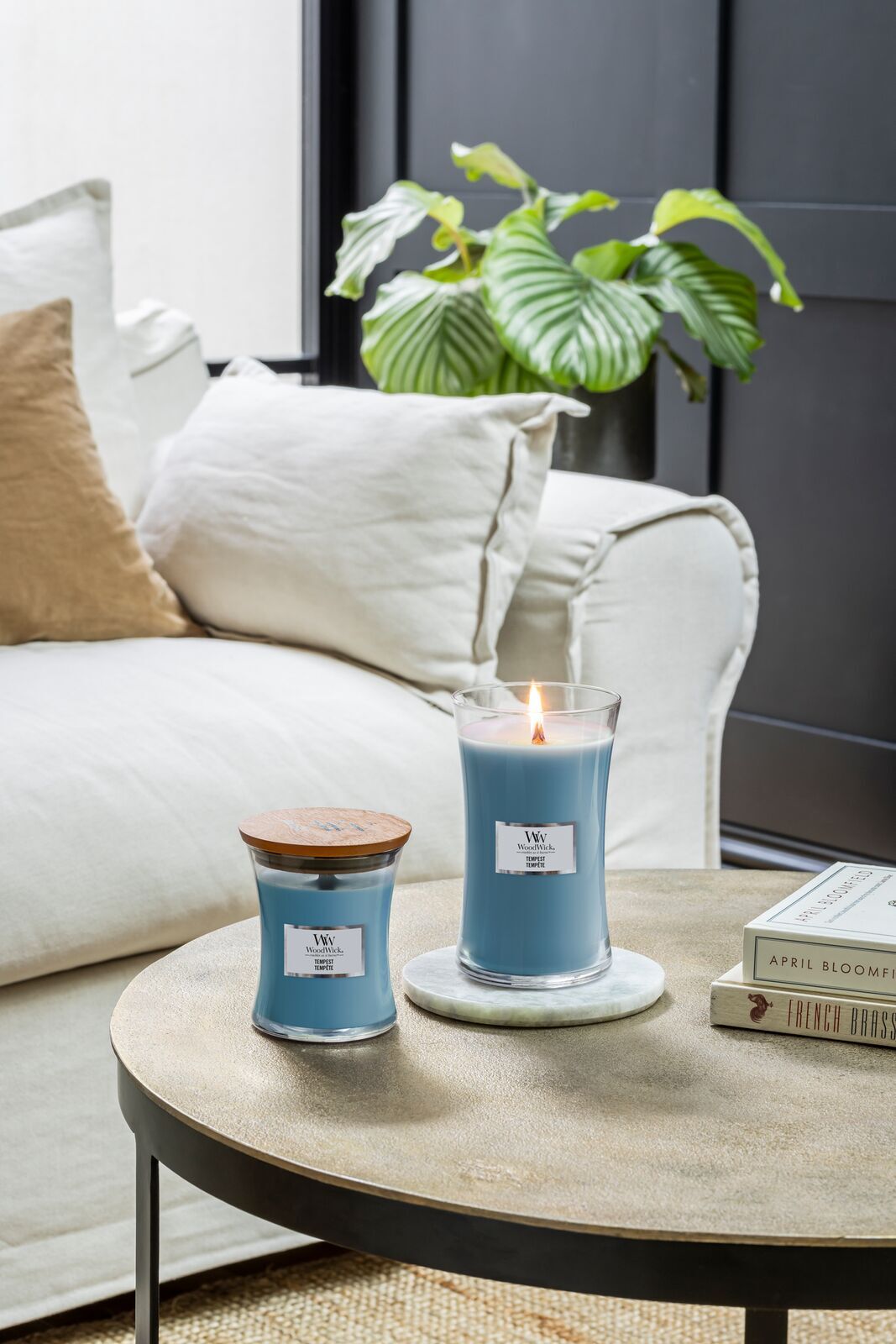 TEMPEST_018 Tempest 610g