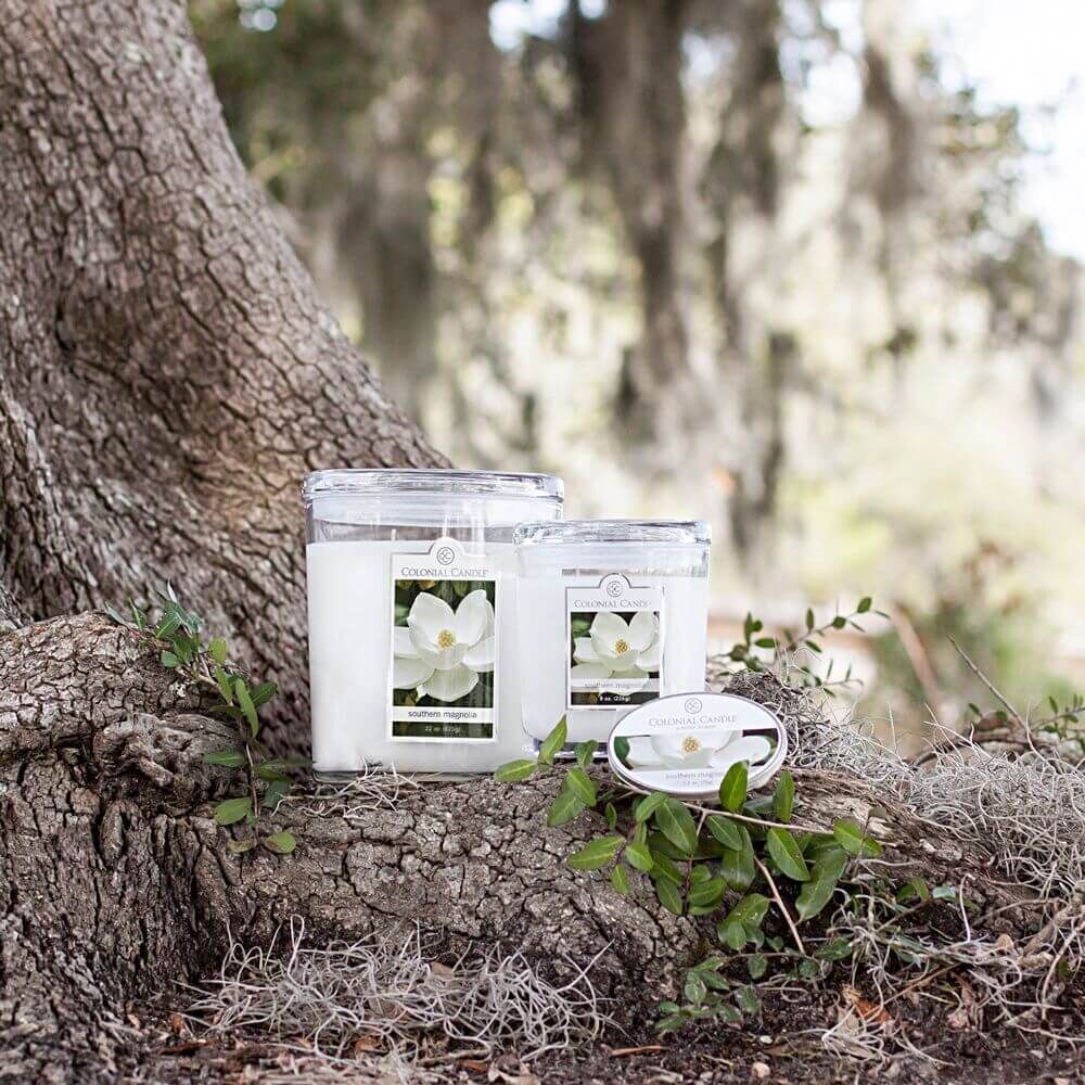 Colonial Candle Southern Magnolia 226g