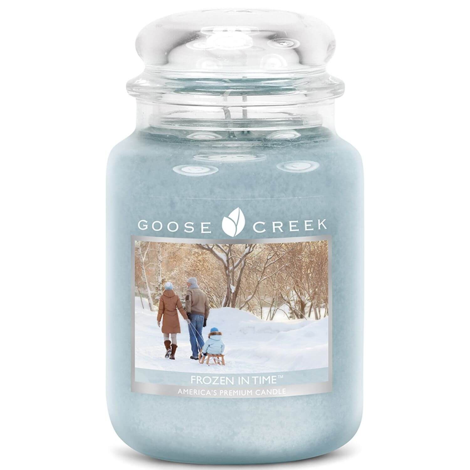 Goose Creek Candle Frozen In Time 680g