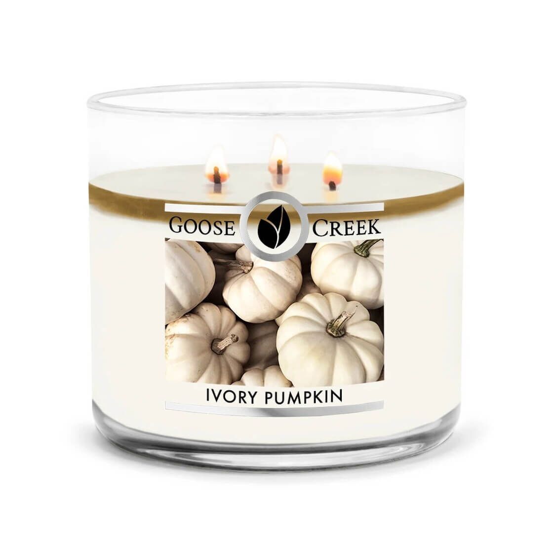 Ivory Pumpkin 453g