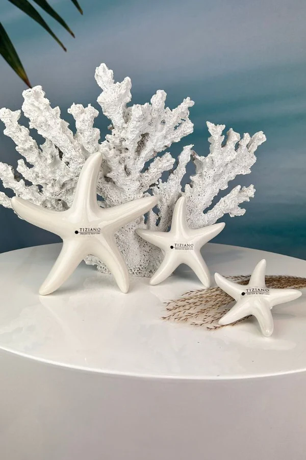 Seestern Mirana 11cm cremeweiß Seestern Mirana 11cm cremeweiß