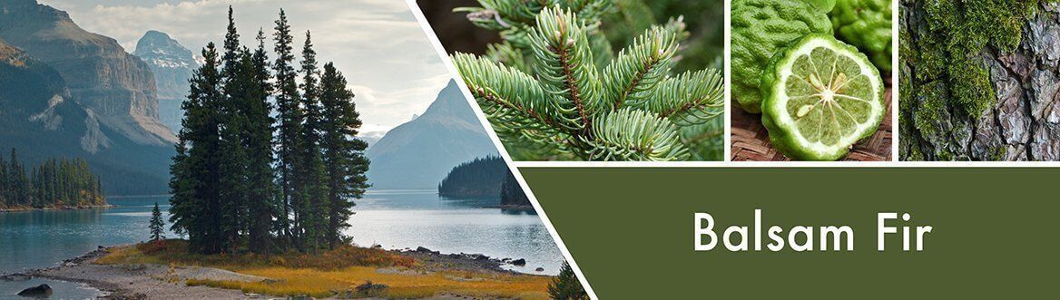 Balsam-Fir-Fragrance Balsam Fir 680g