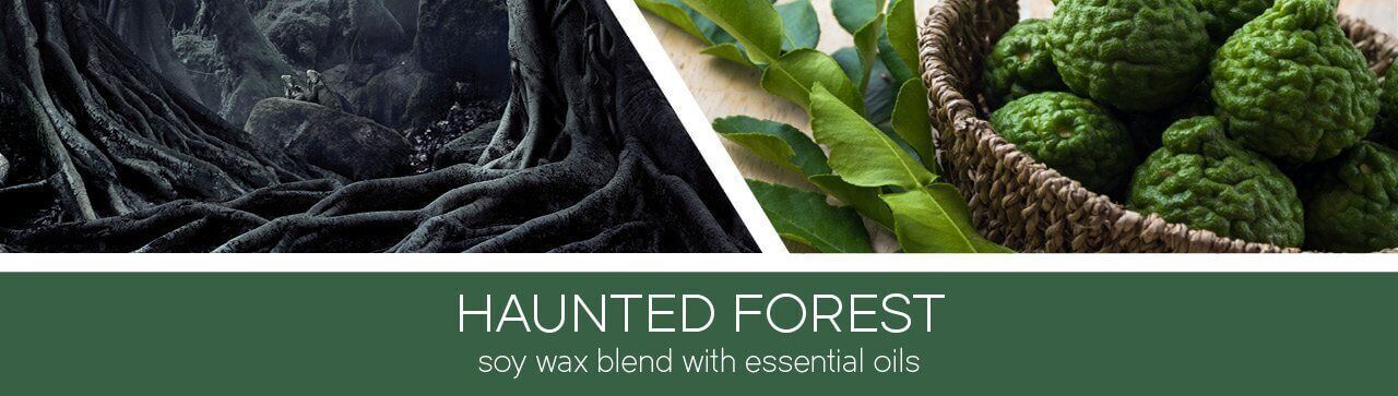 Haunted-Forest-Fragrance-3Wick Haunted Forest 411g (3-Docht)