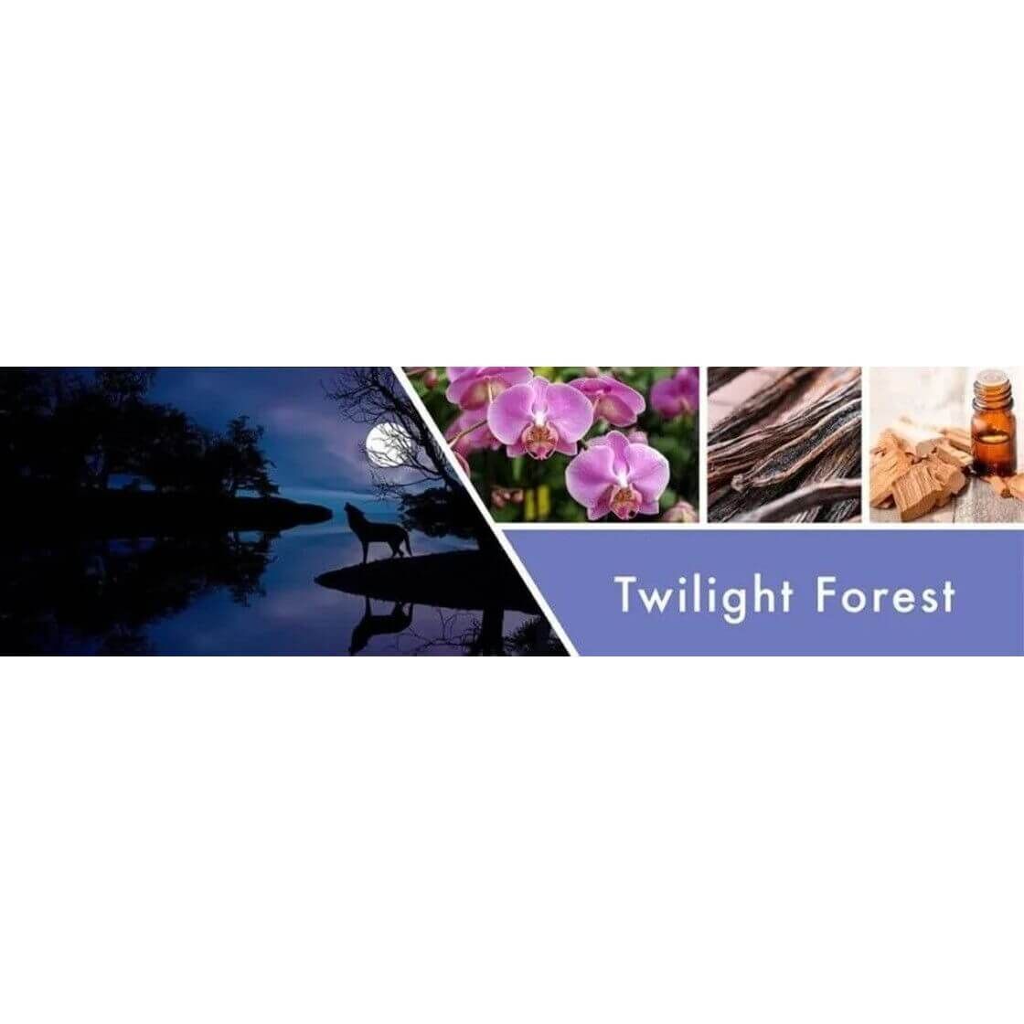 Twilight Forest 2-Docht Tumbler 453g
