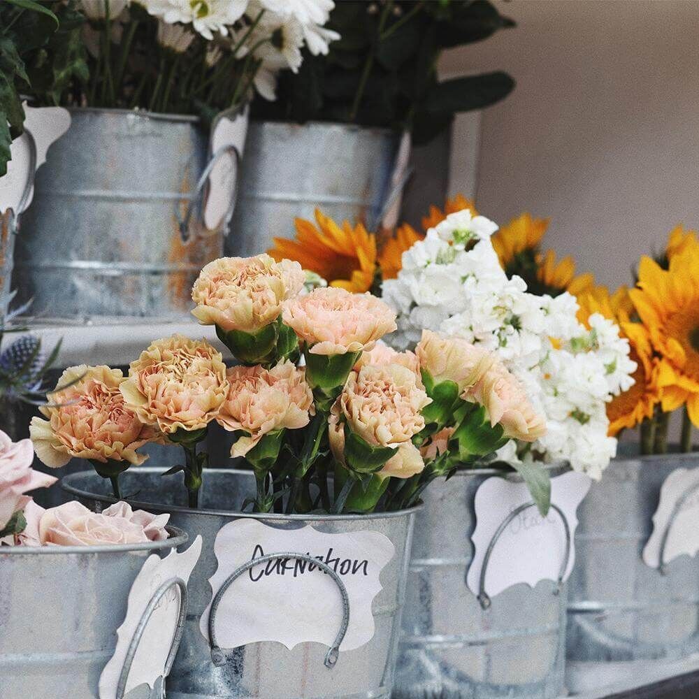 english-flower-shop_2000x-progressive English Flower Shop 602g