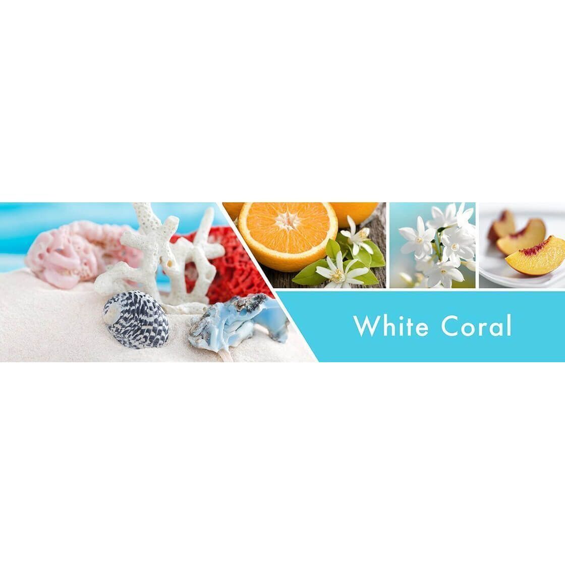 White Coral 411g (3-Docht)