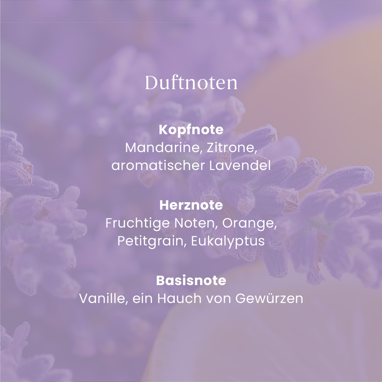 Lemon Lavender Car Jar Ultimate duftnote, kopfnoten, mandarine, zitronen, lavendel