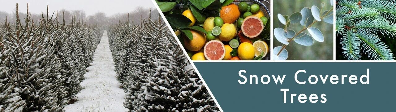 Snow Covered Trees 680g