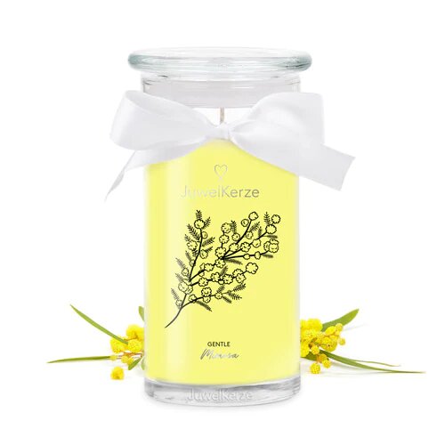 Gentile Mimosa (Armband) 400g