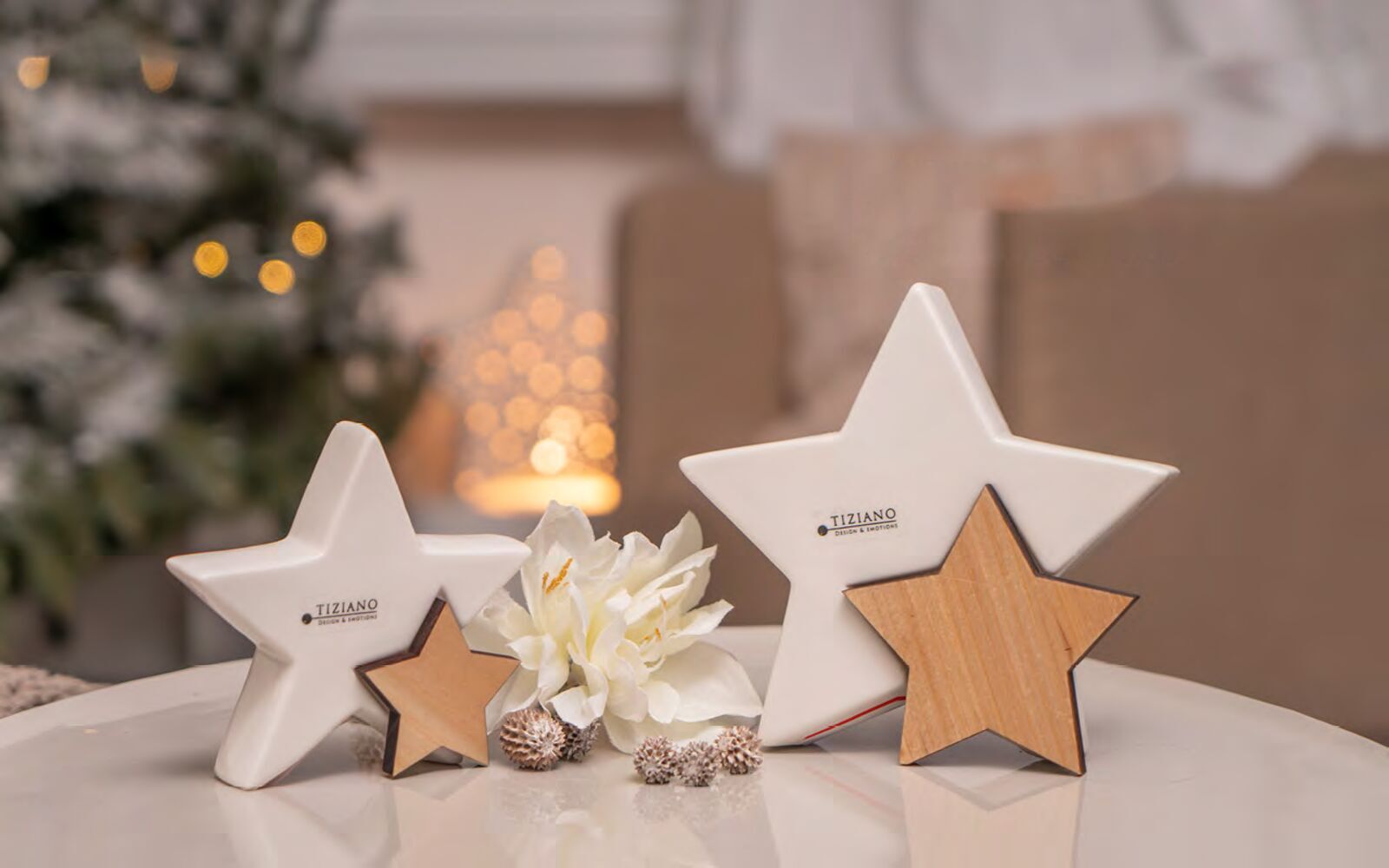 Sternastra Stern Astra 13cm cremeweiß