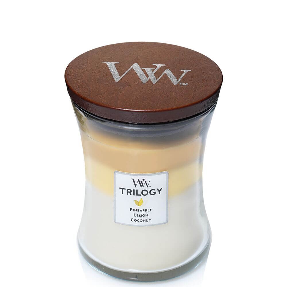 Fruits of Summer 275g von Woodwick