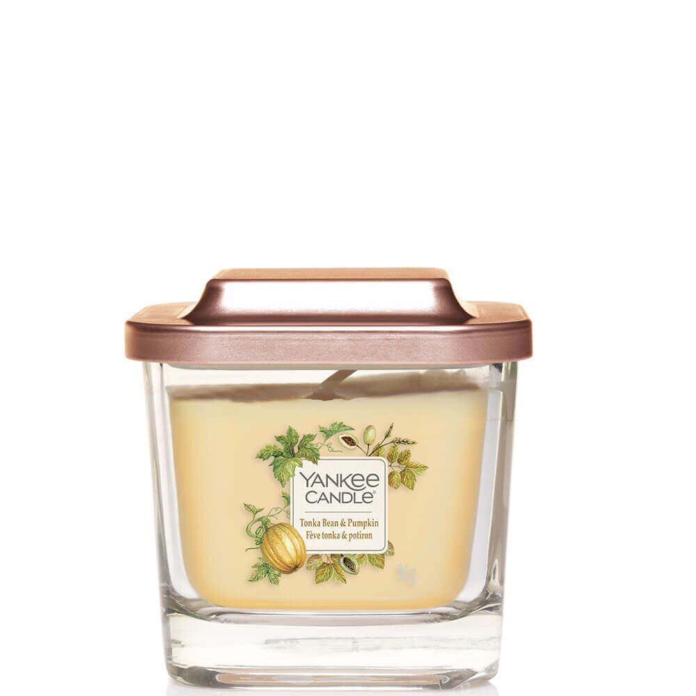 3450_EMEA-Trial-Tonka-Bean-Pumpkin_Small_lid_RT Tonka Bean & Pumpkin 96g von Yankee Candle