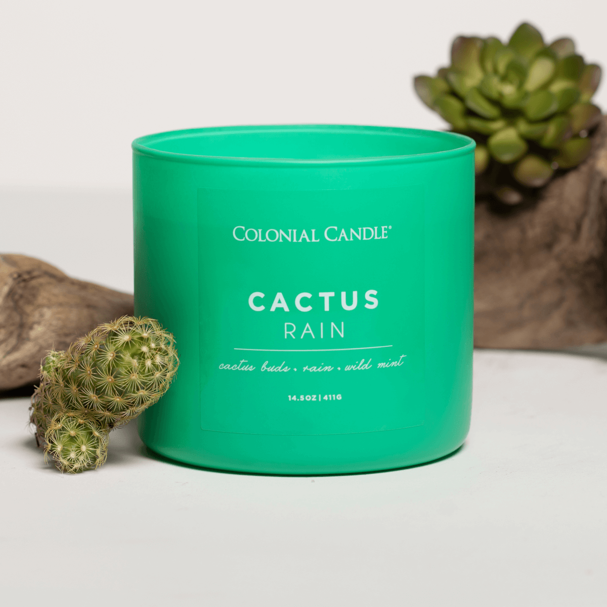CC123747_Lifestyle Duftkerze Cactus Rain - 411g
