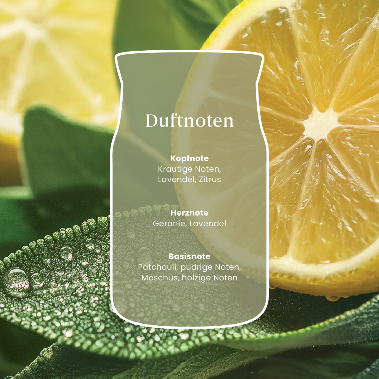 Sage & Citrus Signature Large Jar 567g 2-Docht Sage & Citrus Signature Large Jar 567g 2-Docht