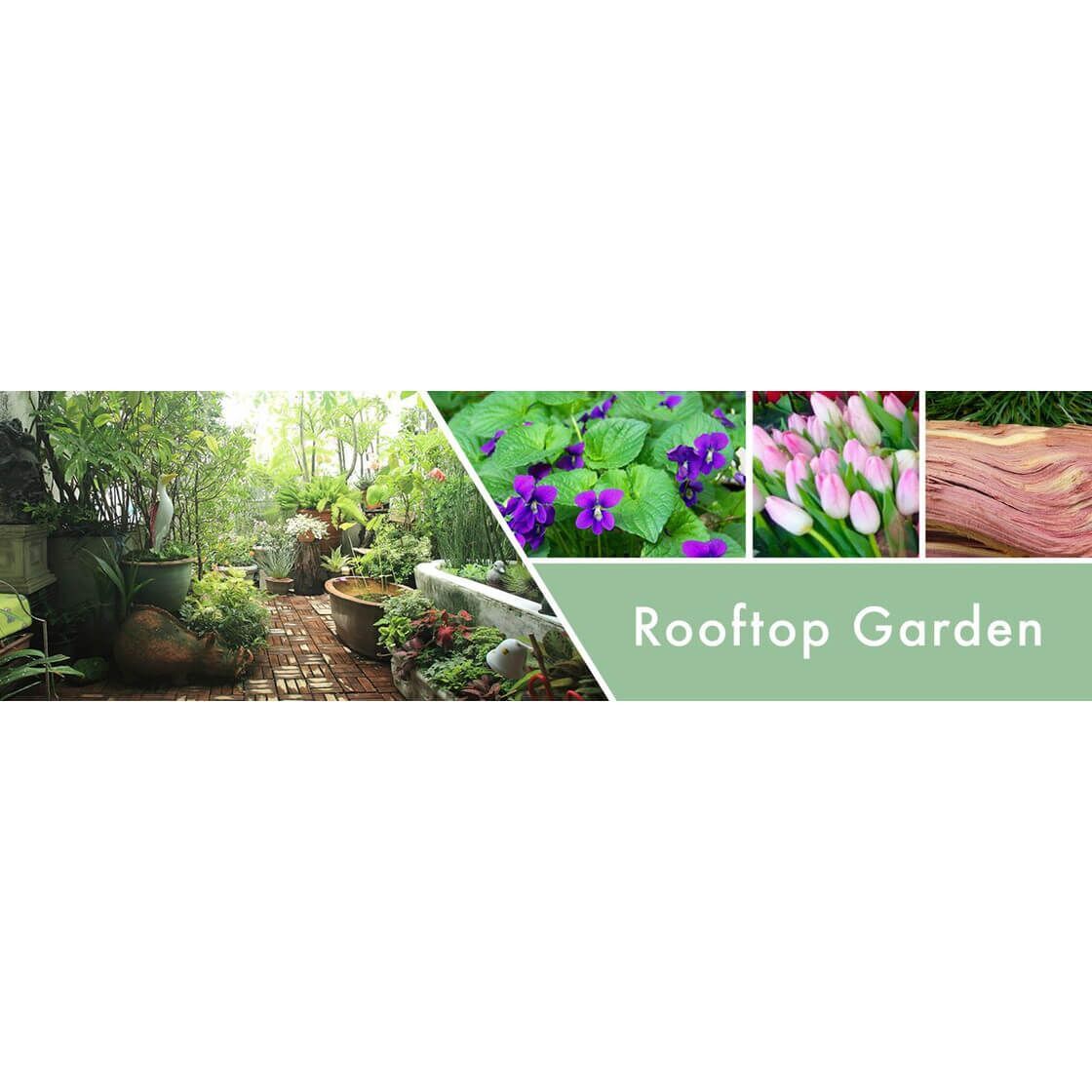 rooftop-garden-2-docht-kerze-680g-2 Rooftop Garden 680g