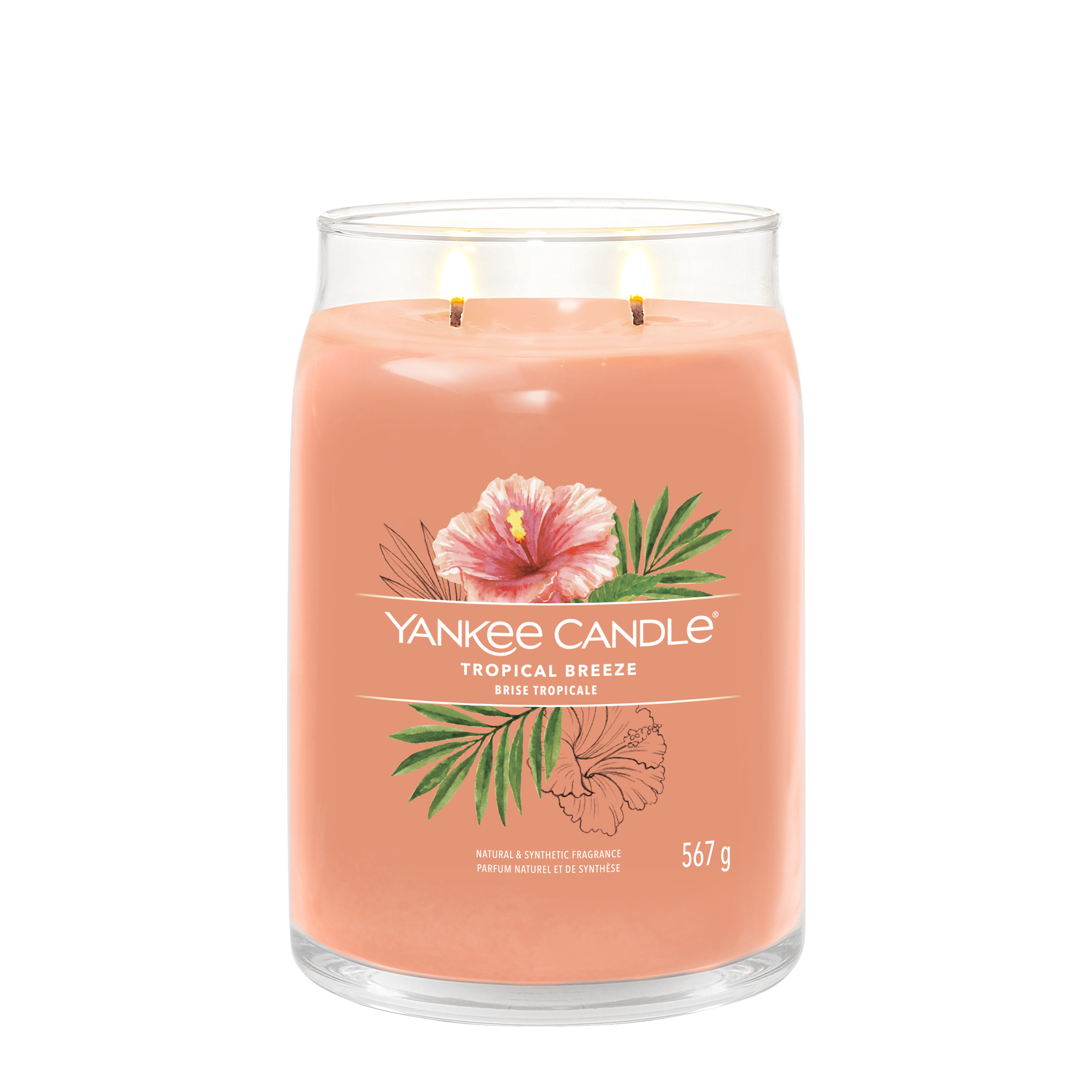 Tropical Breeze Signature Large Jar 567g 2-Docht